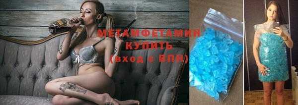 шишки Заволжье
