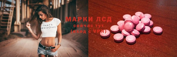 шишки Заволжье