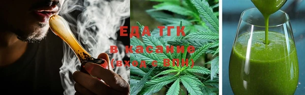 шишки Заволжье