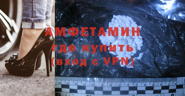 шишки Заволжье