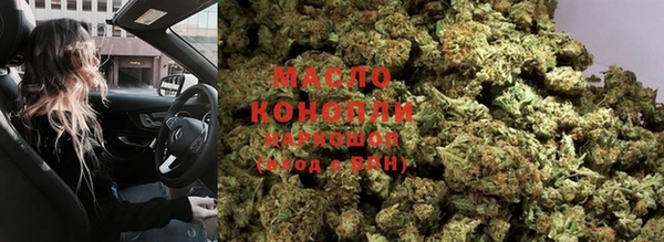 шишки Заволжье