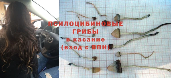 mdma Заводоуковск