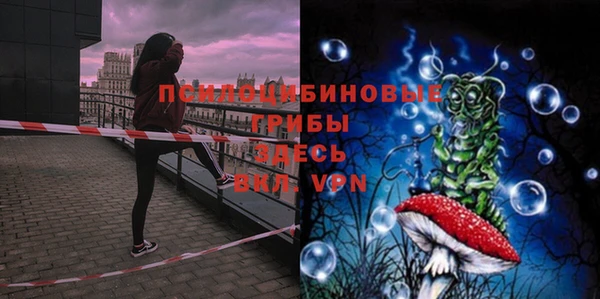 шишки Заволжье