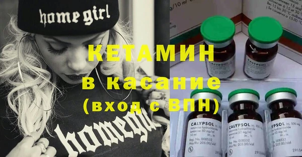шишки Заволжье