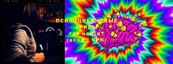 шишки Заволжье
