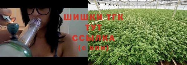 mdma Заводоуковск