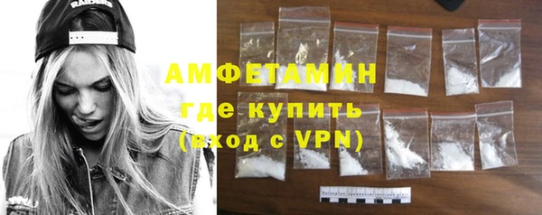 шишки Заволжье